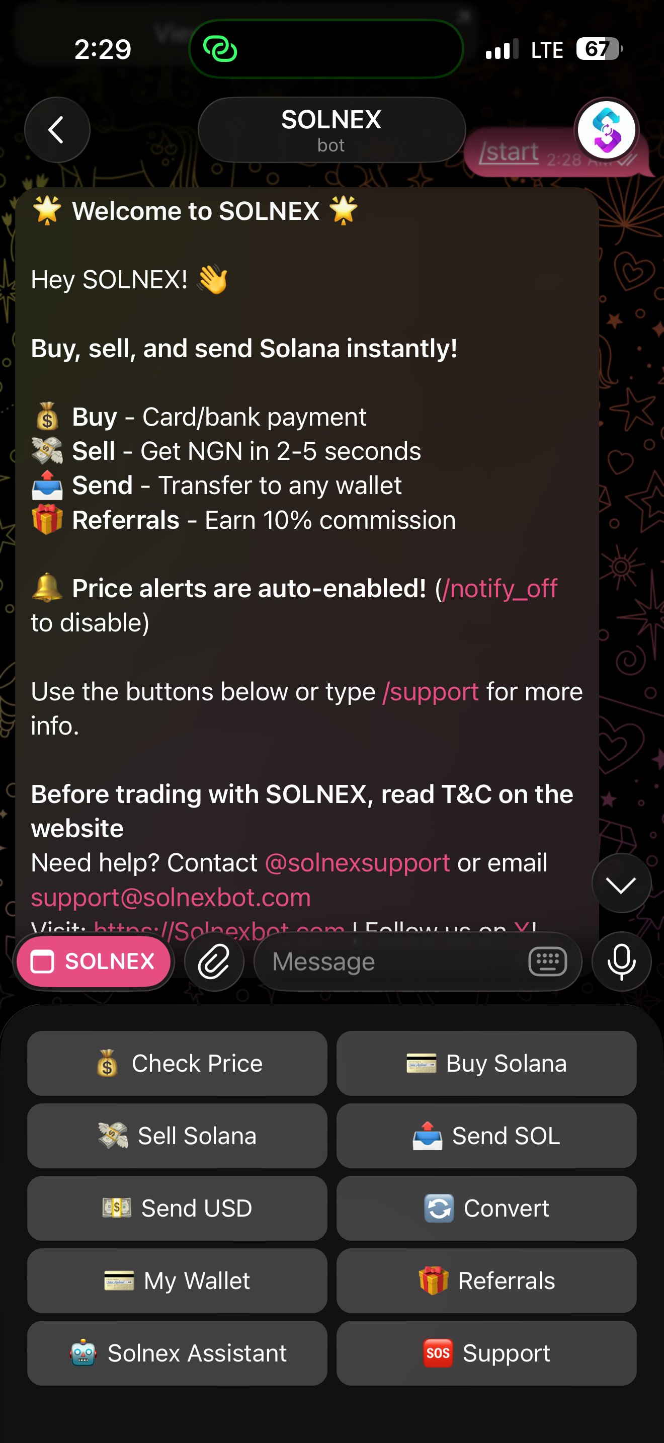 Solnex bot chat